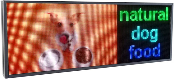 Grafiektekst die Openlucht LEIDENE Venstertekens Digitale RGB P5 tonen