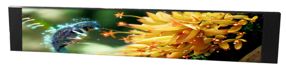 P1.538 Led-vensterbeeldtekeningen met hoge resolutie 3840 Hz