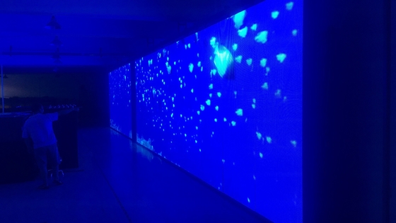 De openlucht van het LEIDENE van P10RGB P8RGB P6RGB Raad Moduleteken